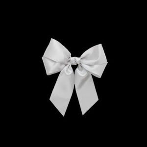 Meet your Posher, Presley